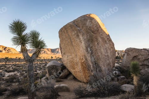 Preview: Boulder in Joshua Tree National Park at dusk, California, USA