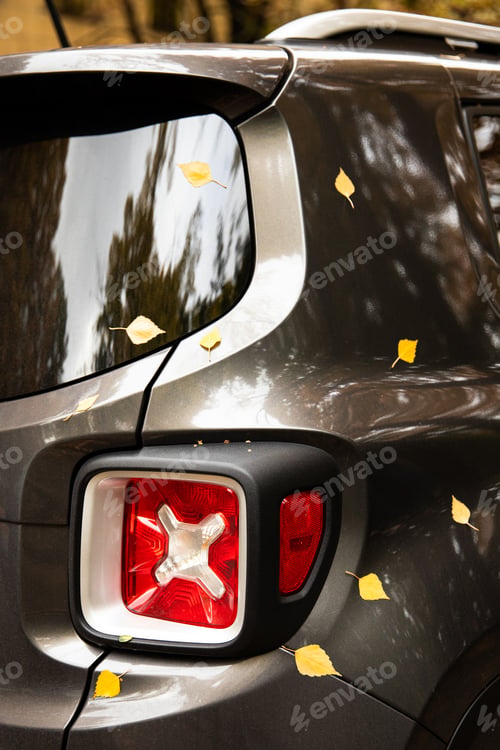 Preview: Close up of fallen autumn leaves on red headlight and car body. Fall season.