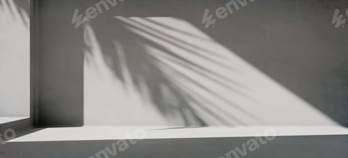 Preview: Minimal product placement background with palm shadow on concrete wall.