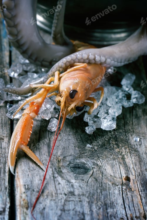 Preview: Langoustine and octopus