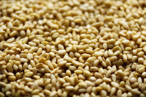 Preview: Food background. Texture of shelled organic pine nuts. Banner