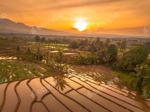 Preview: Beautiful morning view in Indonesia, panoramic landscape of rice fields with mountain