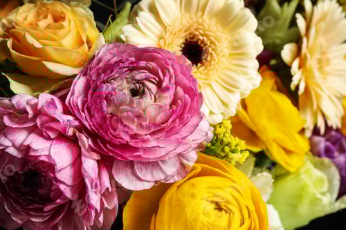 Preview: Beautiful fresh bouquet as background, closeup. Floral decor