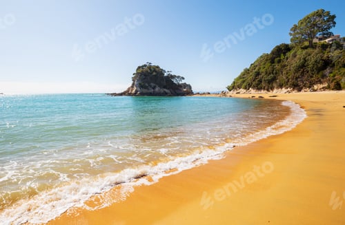 Preview: New Zealand coast