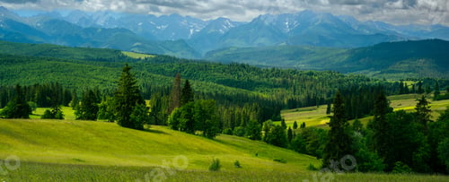 Preview: Mountains landscape with rolling hills, trees and meadows in tatras, Poland