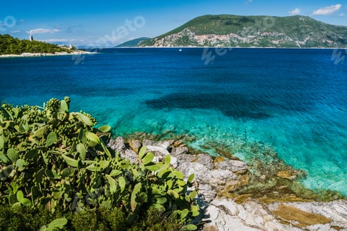 Preview: Group of cactus plants in front of crystal clear transparent blue turquoise teal Mediterranean sea