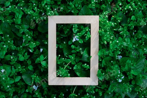 Preview: wooden empty frame on green leaves natyre background, free space