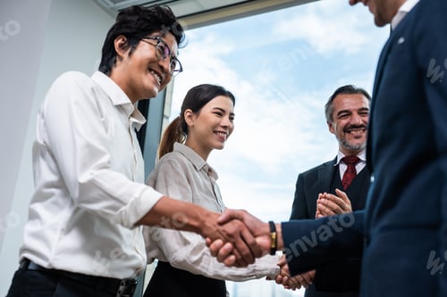 Preview: Multi-Ethnic young businessman making a handshake in the meeting room.