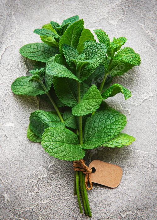 Preview: Fresh mint leaves
