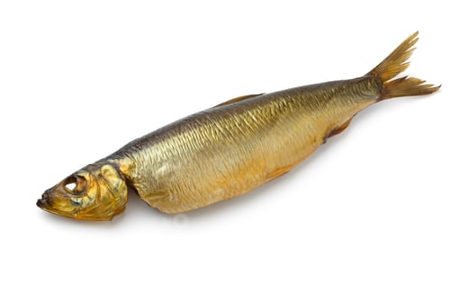 Preview: Single whole Buckling, hot smoked herring