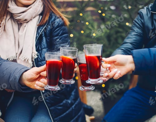 Preview: Friends drinking delicious mulled wine at party