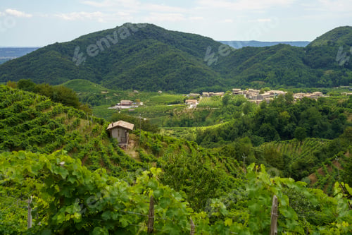 Preview: Vineyards along the Road of Prosecco e Conegliano Wines