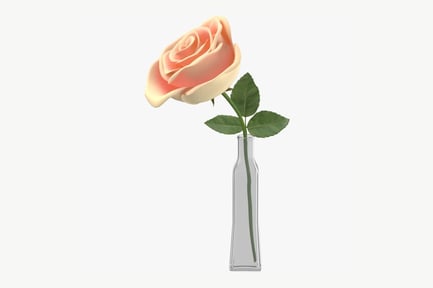 Preview: Single Peach Rose in Tall Glass Vase