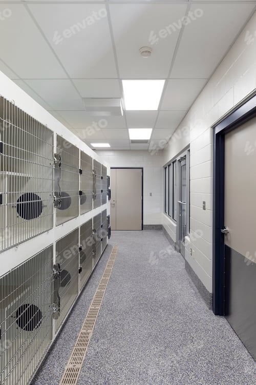 Preview: 54310,Metal doors of empty cages in animal shelter