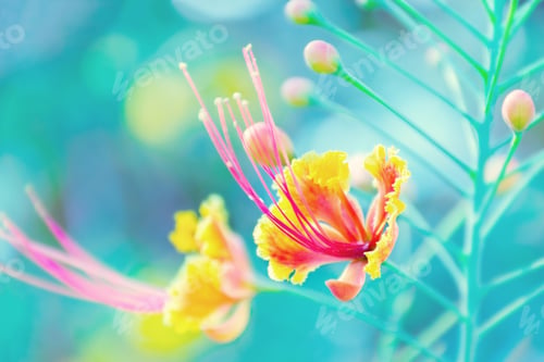 Preview: Tropical flower background.