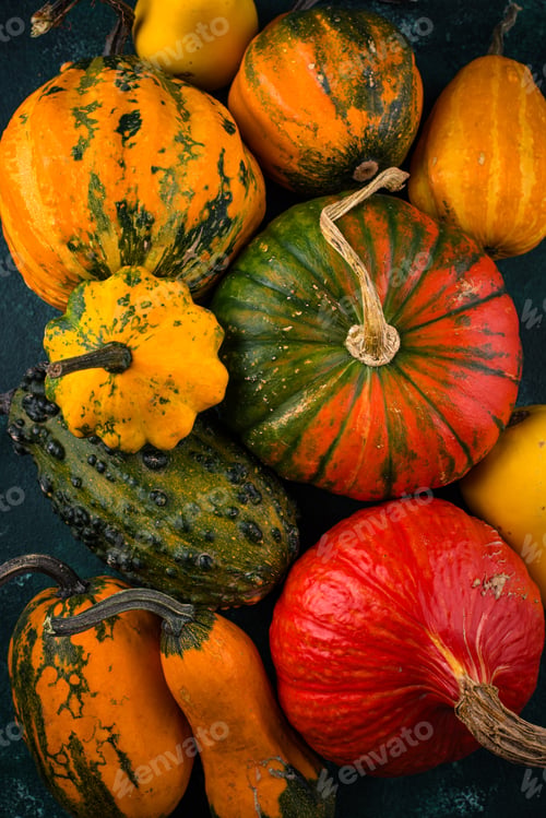 Preview: Various decorative pumpkin on green background