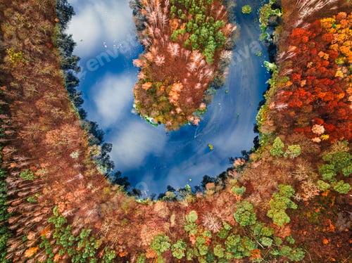 Preview: Brown forest and river in late autumn in Poland, Europe.