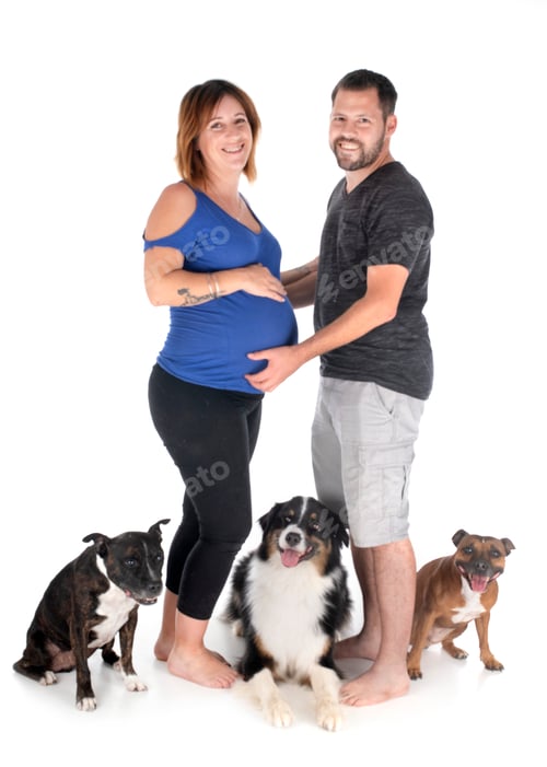 pareja y perros