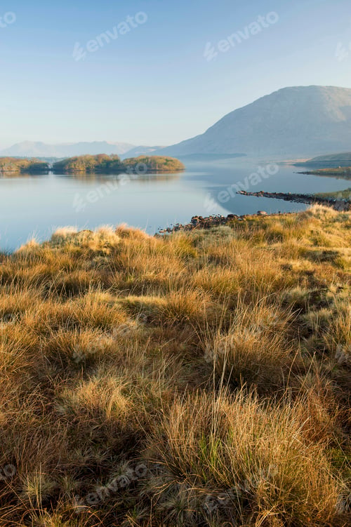 Preview: Grass growing by lake in rural landscape