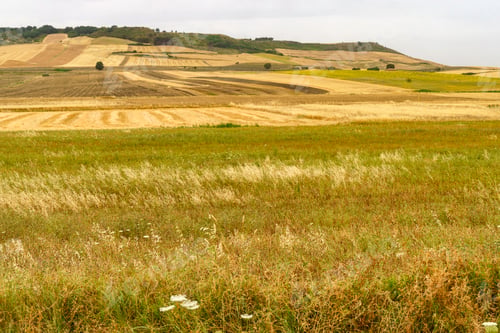 Preview: Country landscape near Gravina in Puglia, Italy