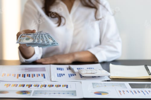 Preview: Woman holding money and banknotes, cash is offering to you. Wage payment concept.