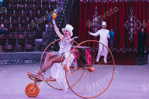 Preview: KYIV, UKRAINE - NOVEMBER 1, 2019: Selective focus of handlers with ara parrots and chariot at circus