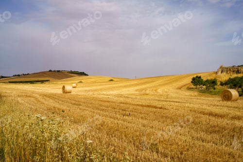 Preview: Country landscape near Matera and Gravina di Puglia