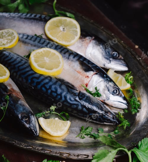 Preview: Mackerels on silver plate