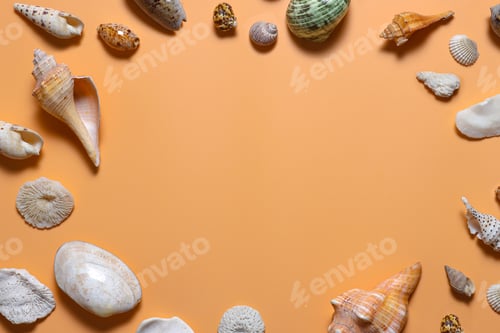 Preview: Circular frame background with various sea shell