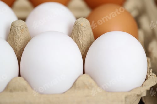 Preview: Eggs are the best protein and are inexpensive and readily available