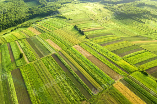 Preview: Aerial view of green agricultural fields in spring