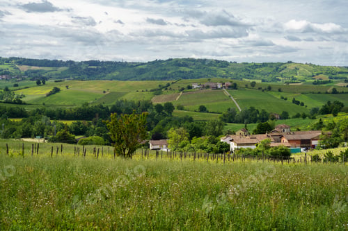 Preview: Landscape on the Tortona hills at springtime near Sarezzano