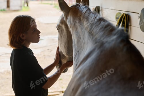 Preview: Boy Petting Horse in a Barn Setting on Bright Day