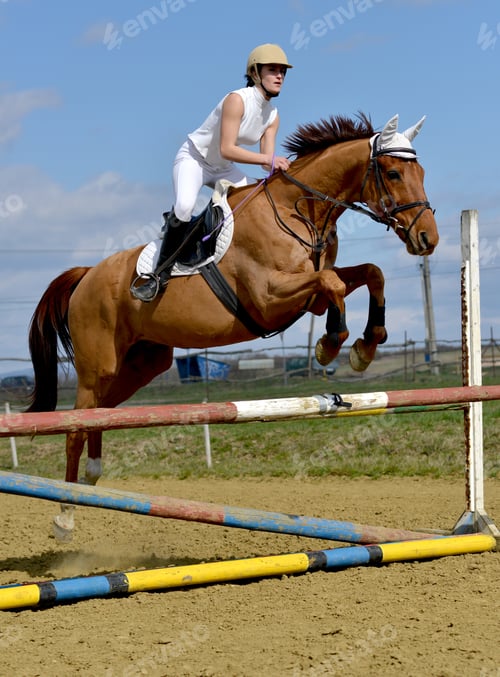 Preview: Show Jumping