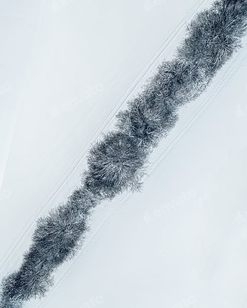Preview: Vertical top view of snow-covered trees in a field captured during winter