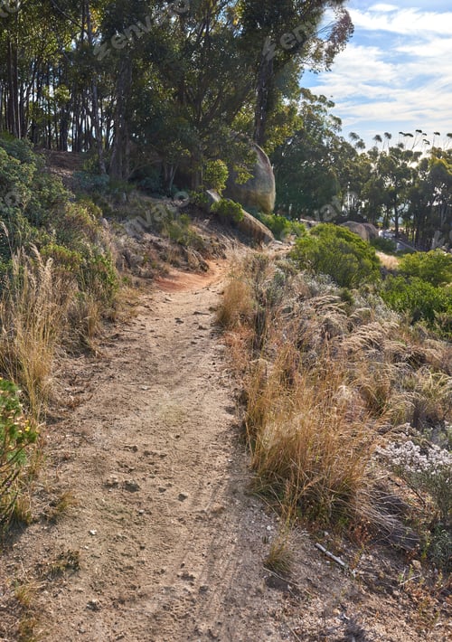 Preview: Trails of Table Mountain National Park