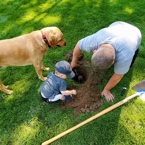 Preview: Toddler and dog looking on as man repairs a sprinkler head in the yard.