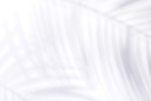 Preview: Template with empty white table or wall with natural plant shadow and sunny glare