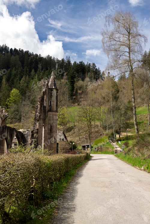 Preview: The road to the ruins of the Monastery of All Saints in the Black Forest