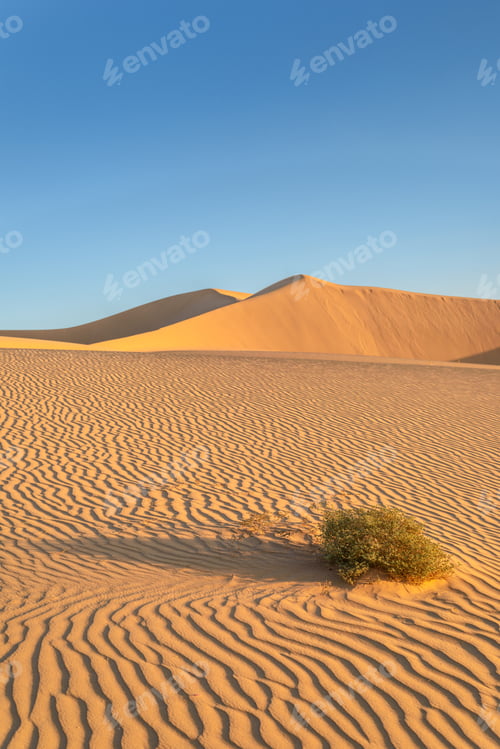 Preview: Desert
