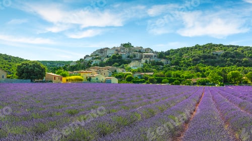 Visualização: Campo de lavanda e vila de Simiane la Rotonde. Provence, França