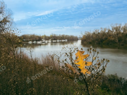 Preview: Vibrant autumn landscape with a lake surrounded by foliage