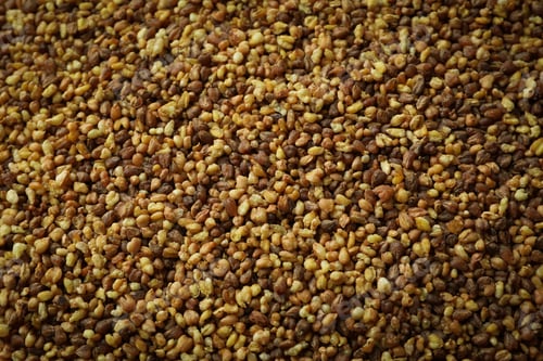 Preview: Buckwheat tea seeds all over background, close up