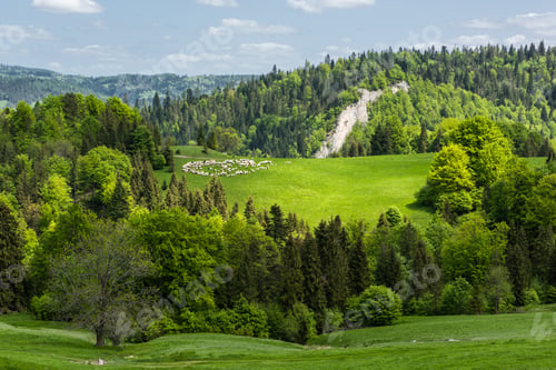 Preview: Pieniny National Park in Carpathian Mountains in Poland at summer day