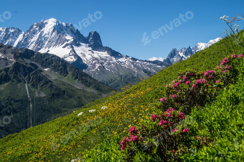 Preview: Vertical shot of landscape of green hiking trails with flowers in charamillon gondola alps, France