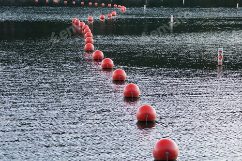 Preview: High angle shot of red buoys on Cheat Lake near Morgantown West Virginia