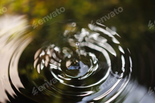 Preview: Water drop splashing in a pond surface