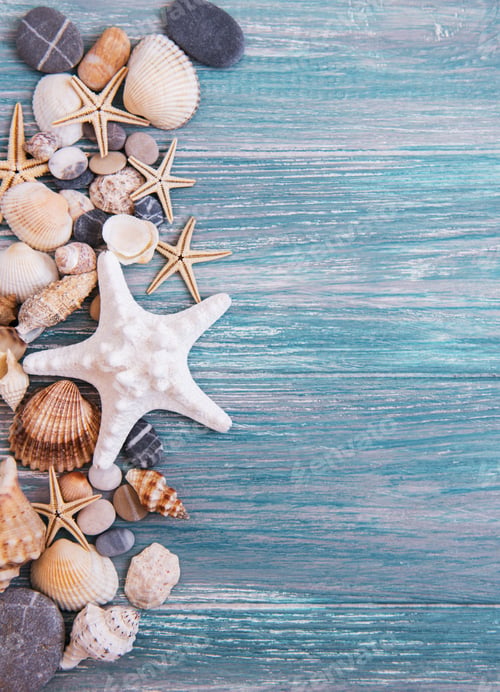 Preview: Seashells and sea decorations
