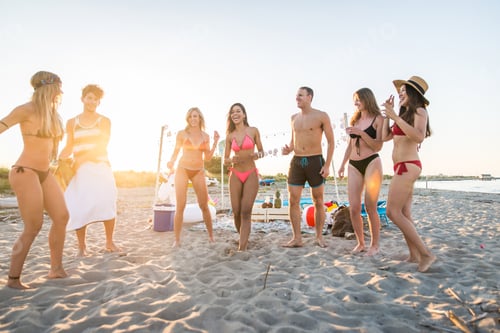 Preview: Group of friends partying at the beach