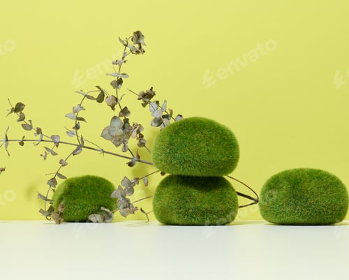 Preview: Green pieces of moss and a stage for the demonstration of products, cosmetics.